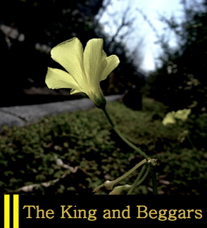 ���ͤȤ�����