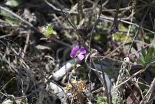 �����ȥ��å���LOVE