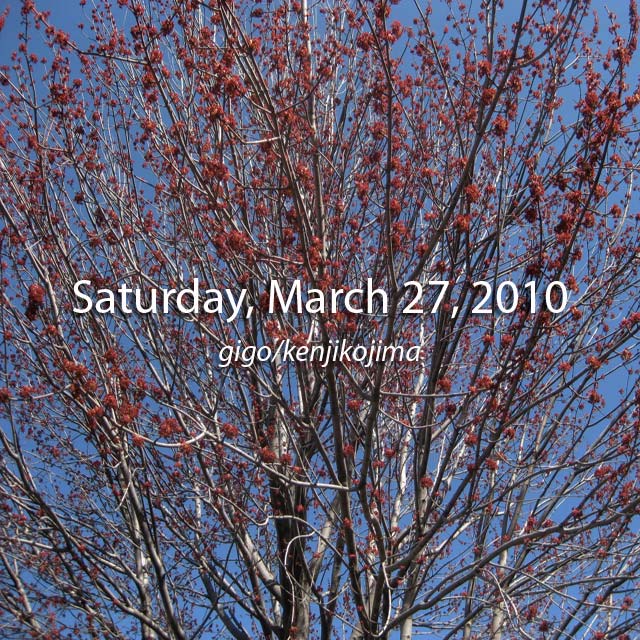 Saturday, March27, 2010