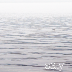 Water birds - (100404-5)