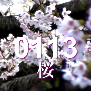0113 ��