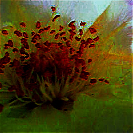 Ame���Ĥ��������2