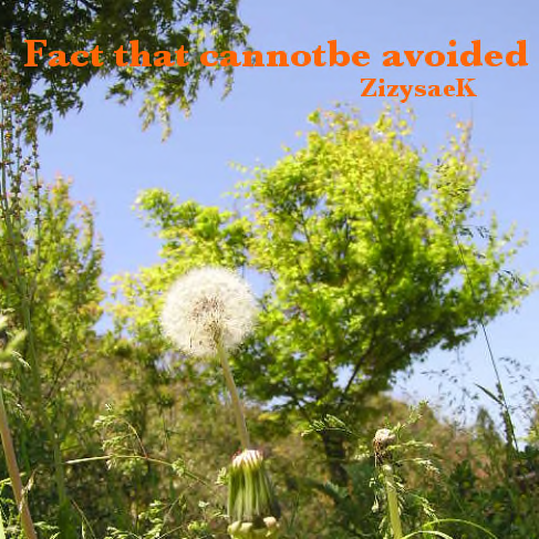 Fact that cannot be avoided��ZizysaeK version