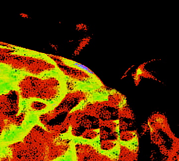 ������С���