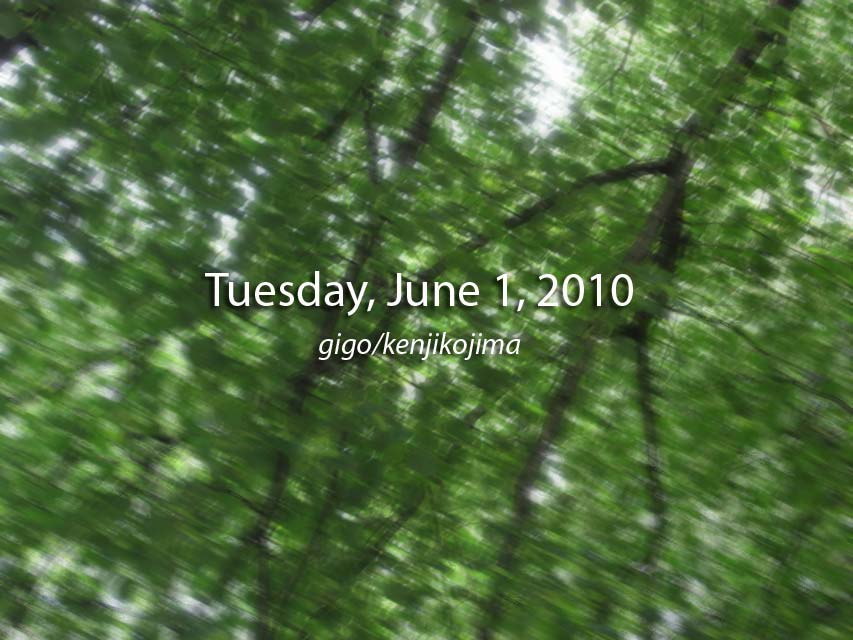Tuesday, June 1, 2010