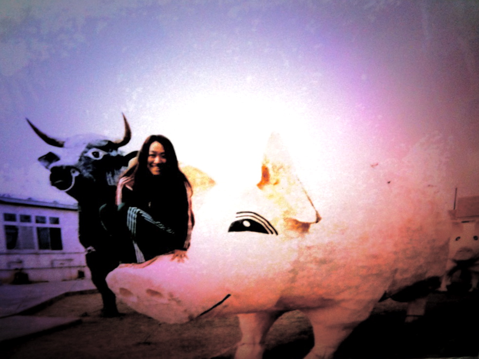 �ܤ��ϥ֥��ˤʤꤿ����