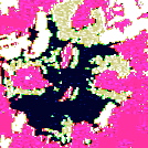 ��ǯ�βƤϽ뤤�ǥ�