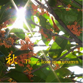 ����Thing lost in autumn