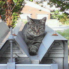 ǭ����餹����