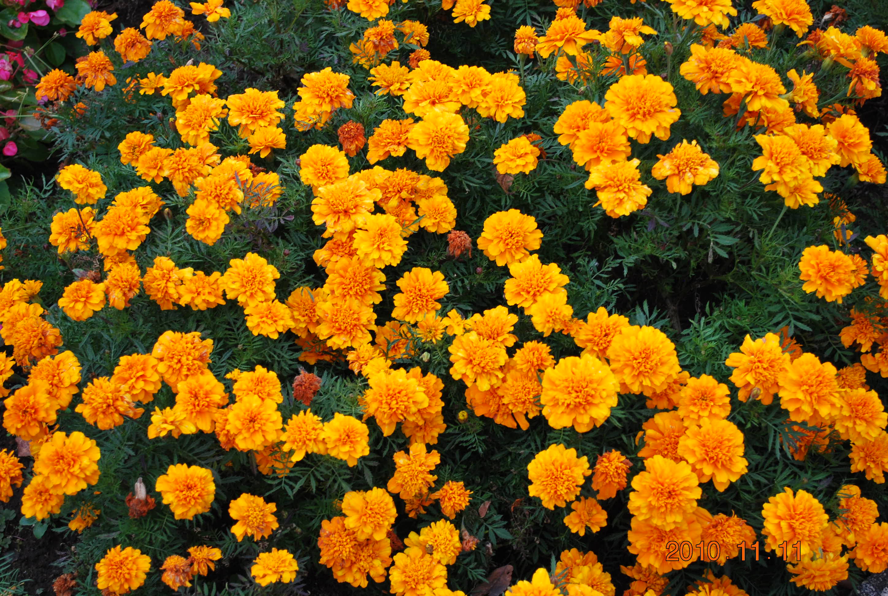 ��󥹥�������֣������ä��Ķ�