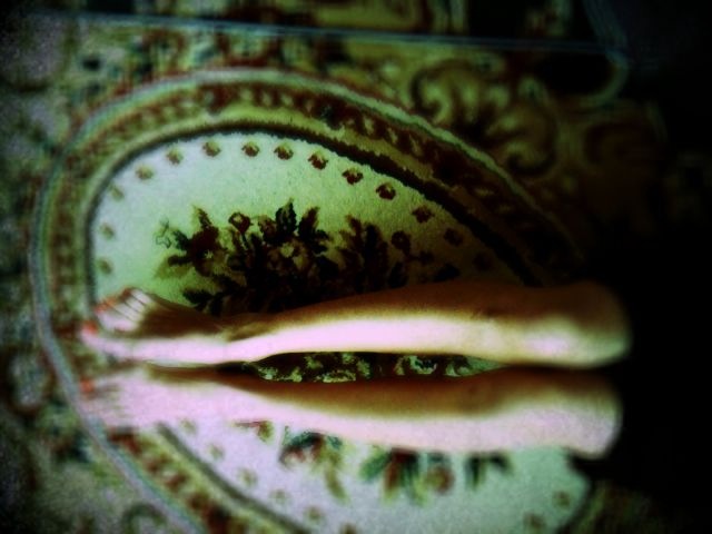 �ե�ǥ���2010/11/24