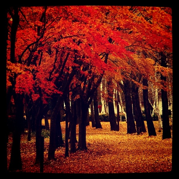 �ޤ��ܤ���