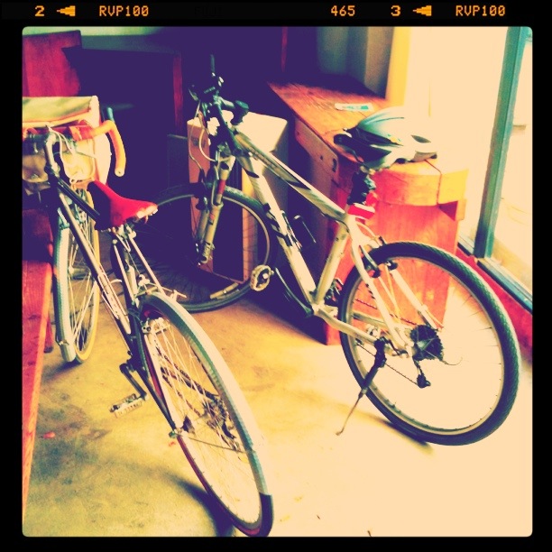 アルプス自転車