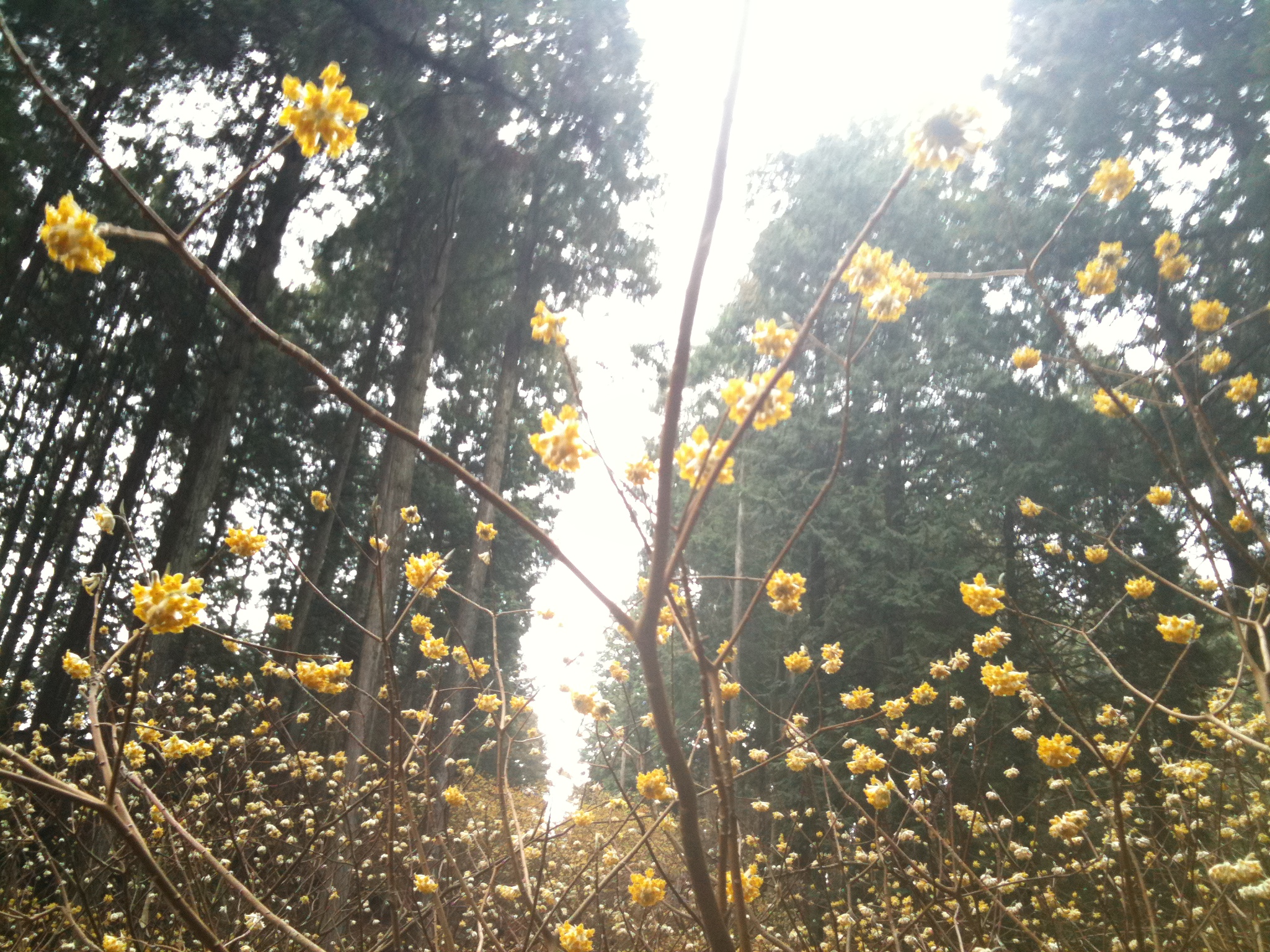 2011.04.12���५����leave me a lake 'till my dying day kc&miba