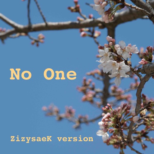 No one - ZizysaeK version