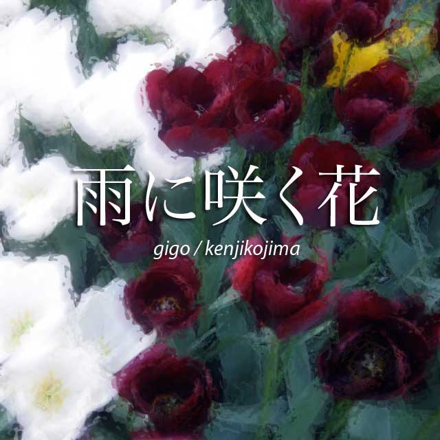 �ԥ��ζ� ���˺餯��