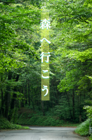 ���عԤ���