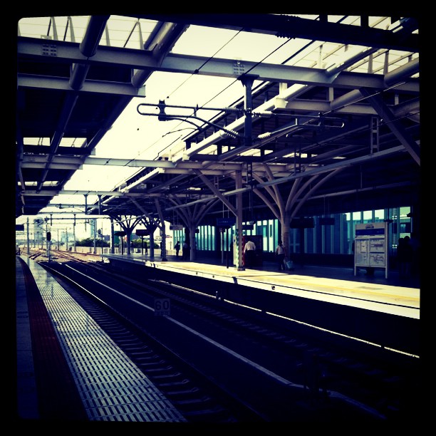 �ͤ�Ͻ����ʤ�