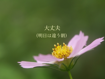 大丈夫(明日は違う朝)