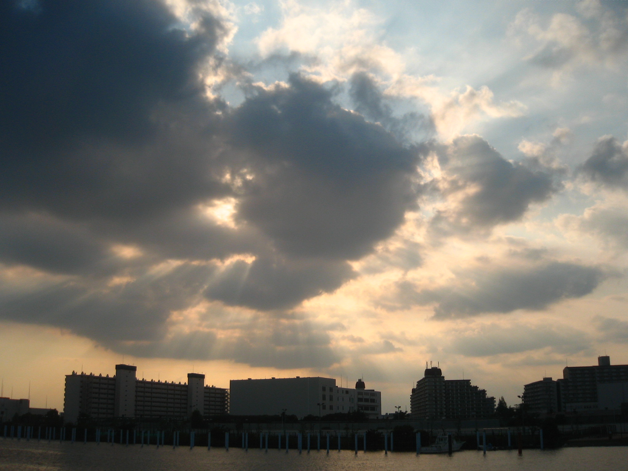 ����������