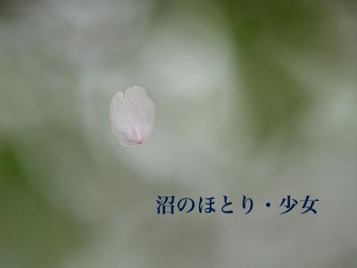 �¤ΤۤȤꡦ����