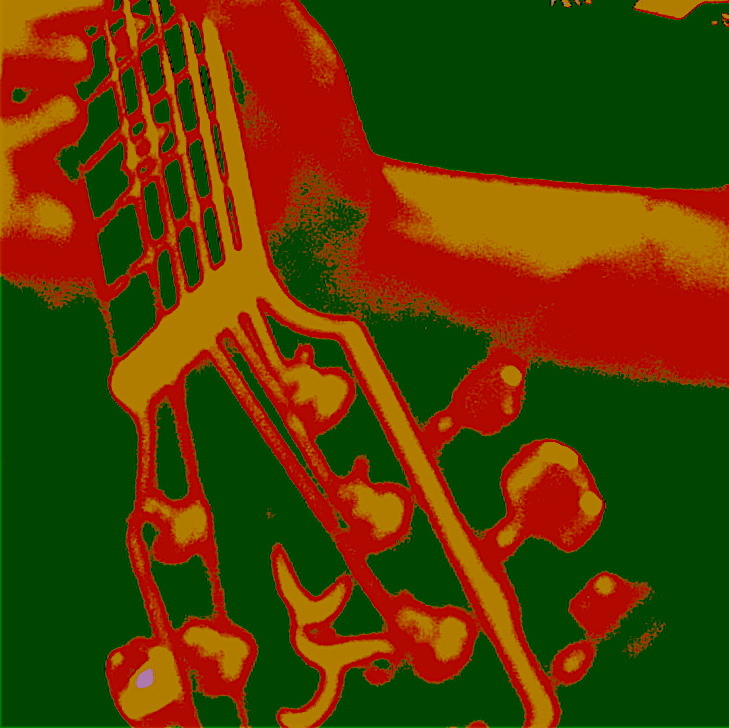 �ؤ���Ǥޤ����Υ֥롼��