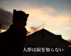 �ͷ����ޤ��Τ�ʤ�