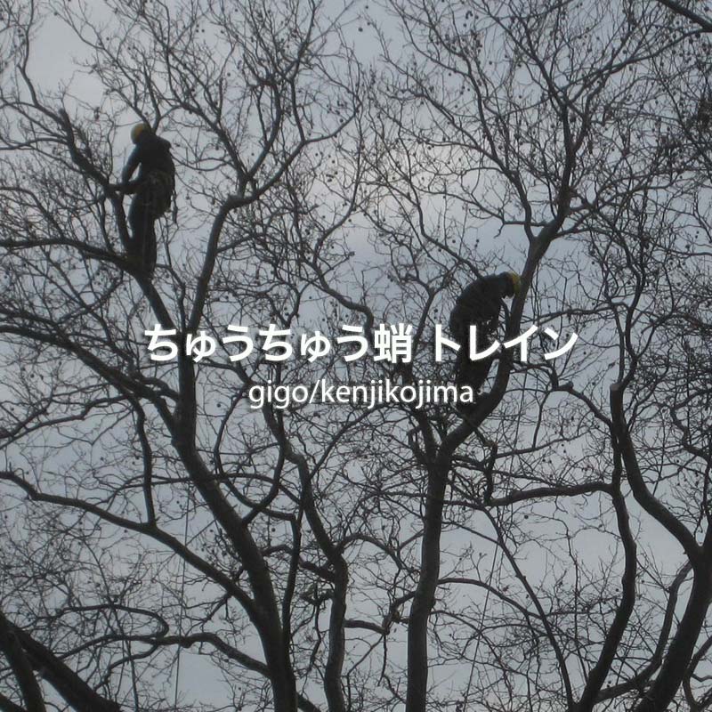 ���夦���夦���ȥ쥤��.mp3