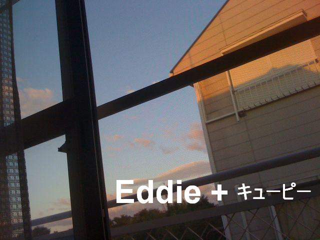 NO JOB BLUES��Bye-Bye Big Mountain town��with���塼�ԡ�