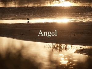 天使は夜空に目覚める