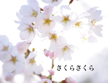 �����餵��������ܸ��ء�/PD