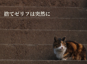 �Τƥ���դ�������