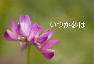 ���Ĥ�̴��