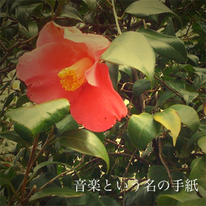 ���ڤȤ���̾�μ��