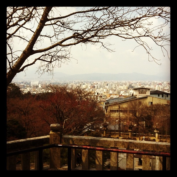 �ͤ��������Ǥ��硼�Ƥ����