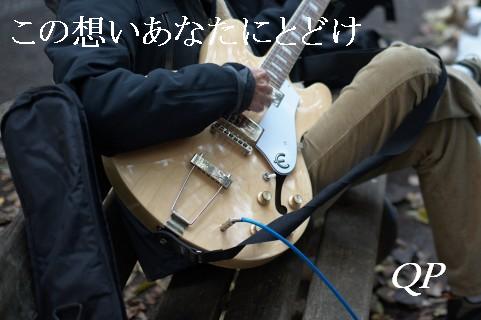 �����ۤ����ʤ��ˤȤɤ�/�Хå��󥰥����ꥹ�Ȥ���