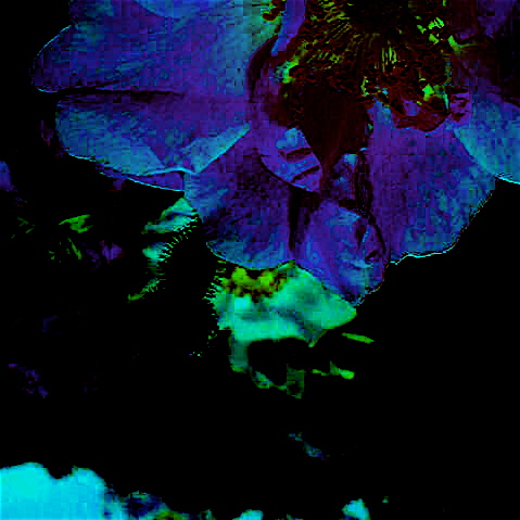 �쥯�����ࡡŷ��