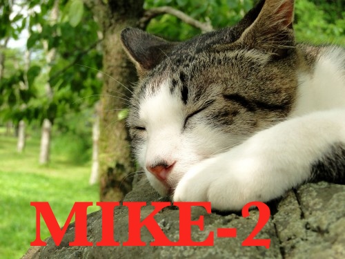MIKE 2