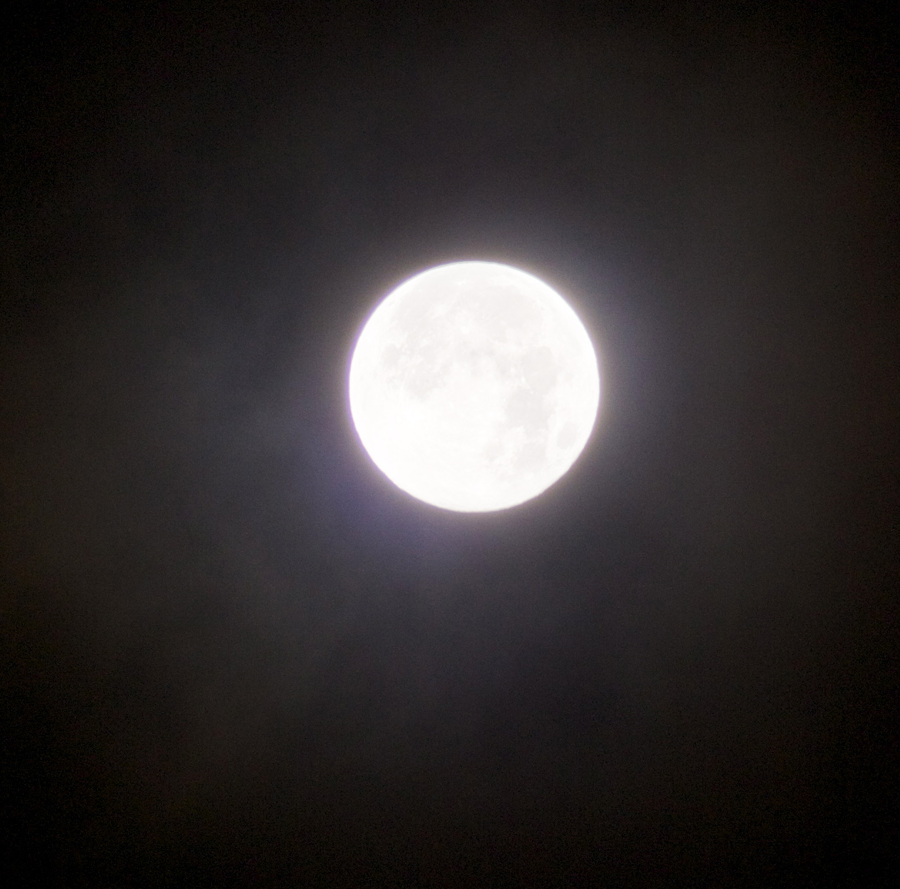 ������ 2012