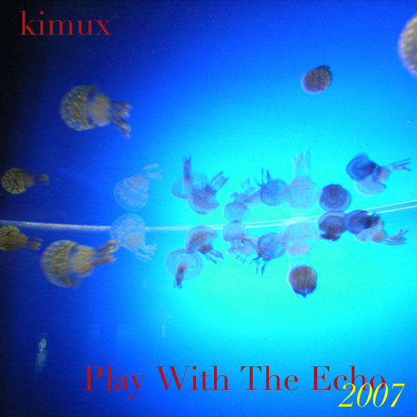 Play With The Echo 2007
