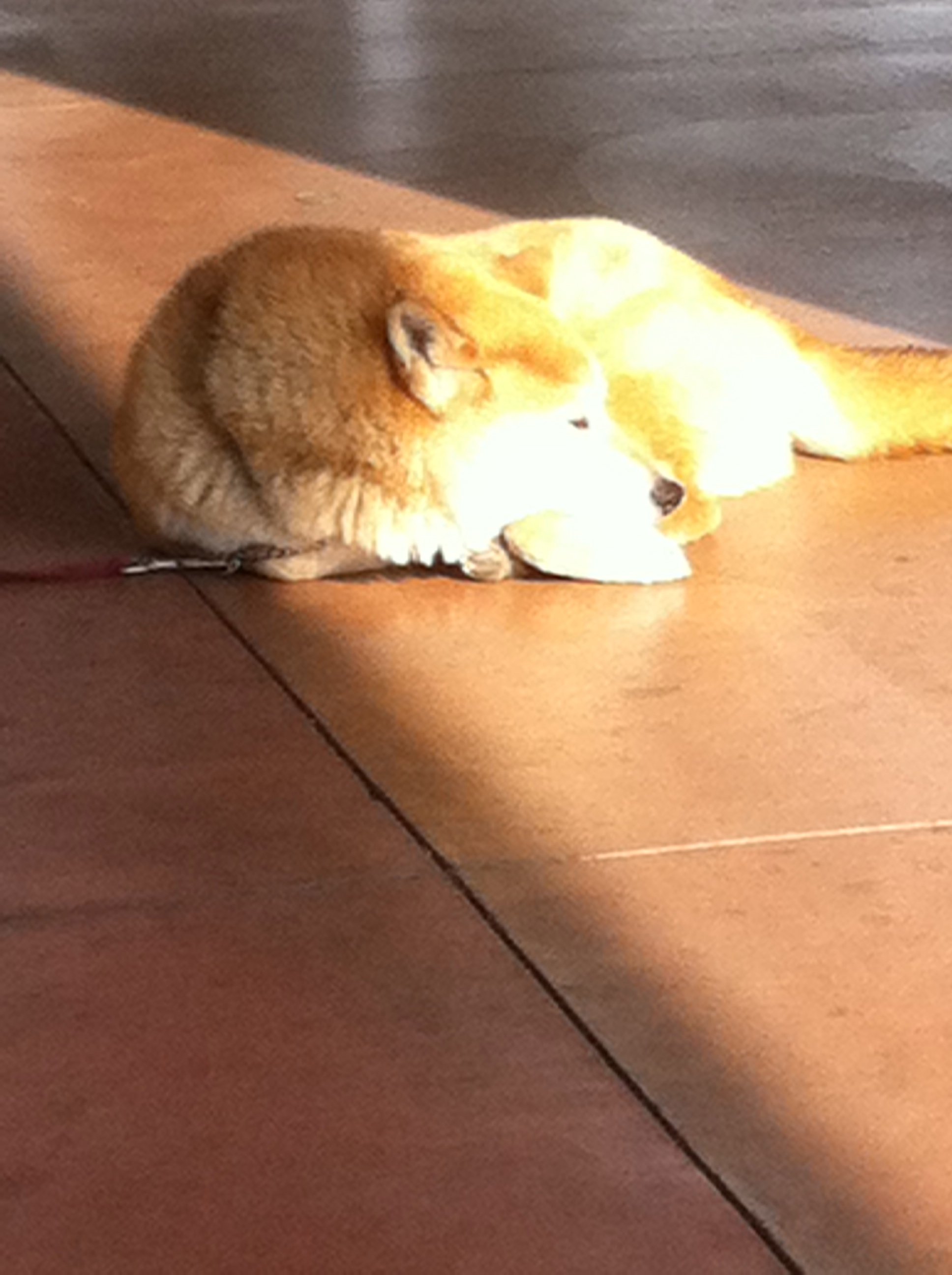 Where you stay last night?(32-20 Blues)