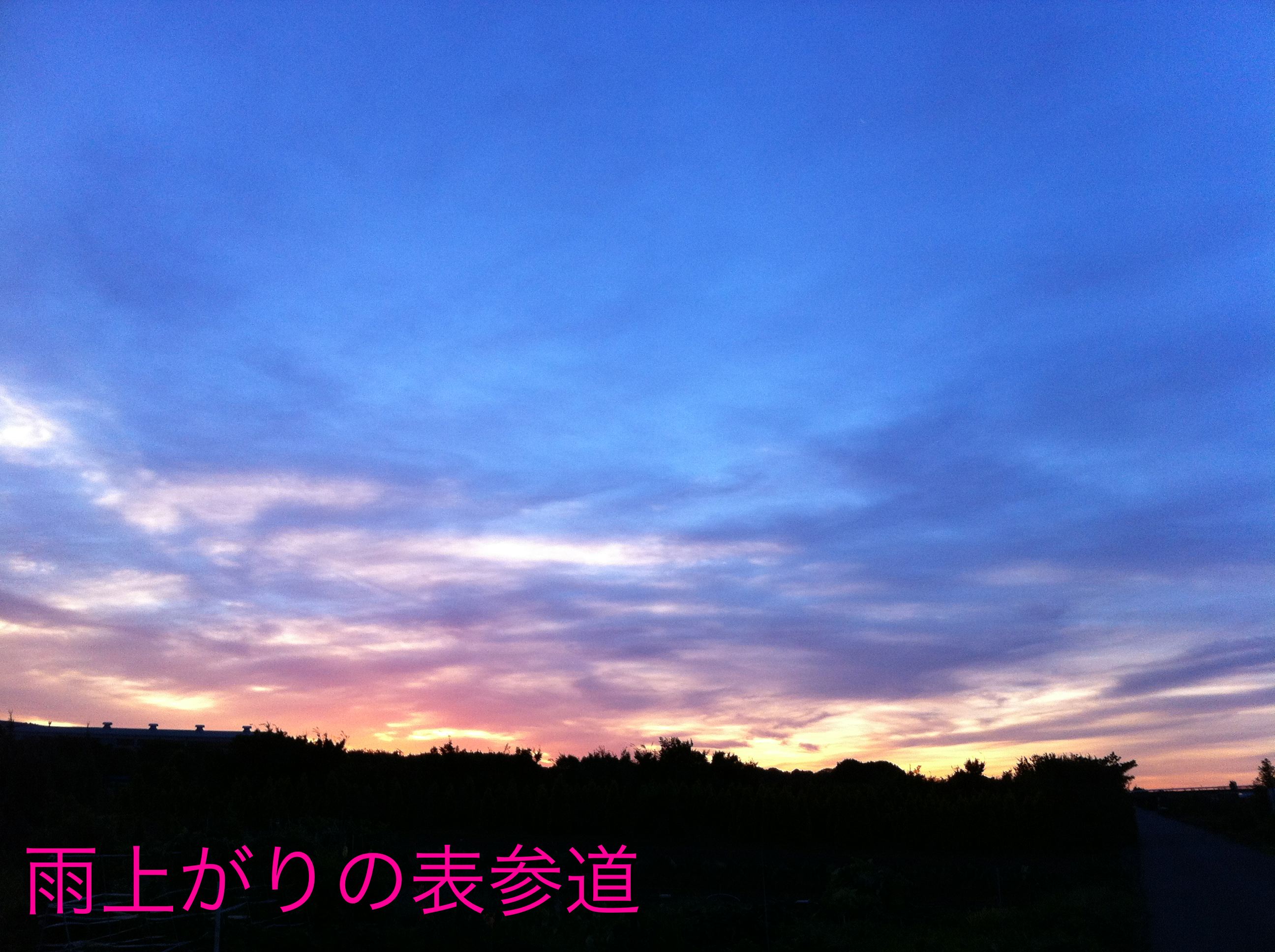 ���夬���ɽ��ƻ