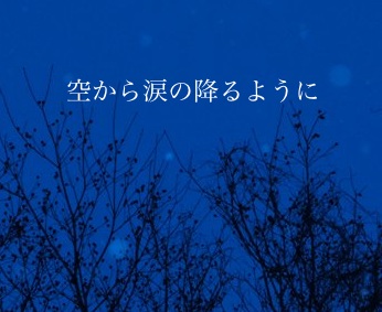 �������ޤιߤ�褦��