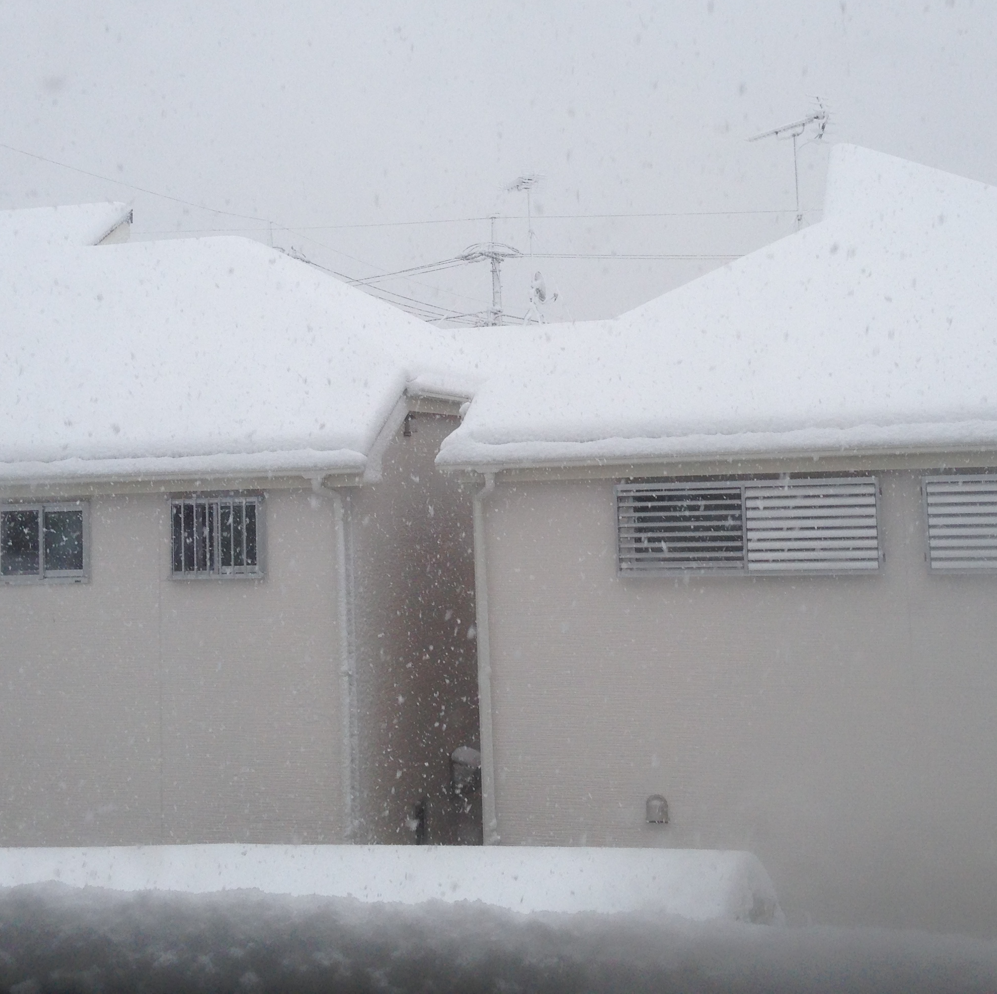 �������������������� (Wub Machine Remix)-TSUKUSI