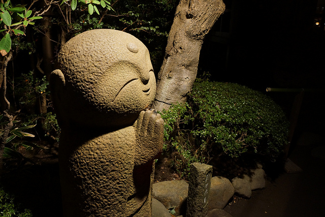 ����Ʋ�� ����������