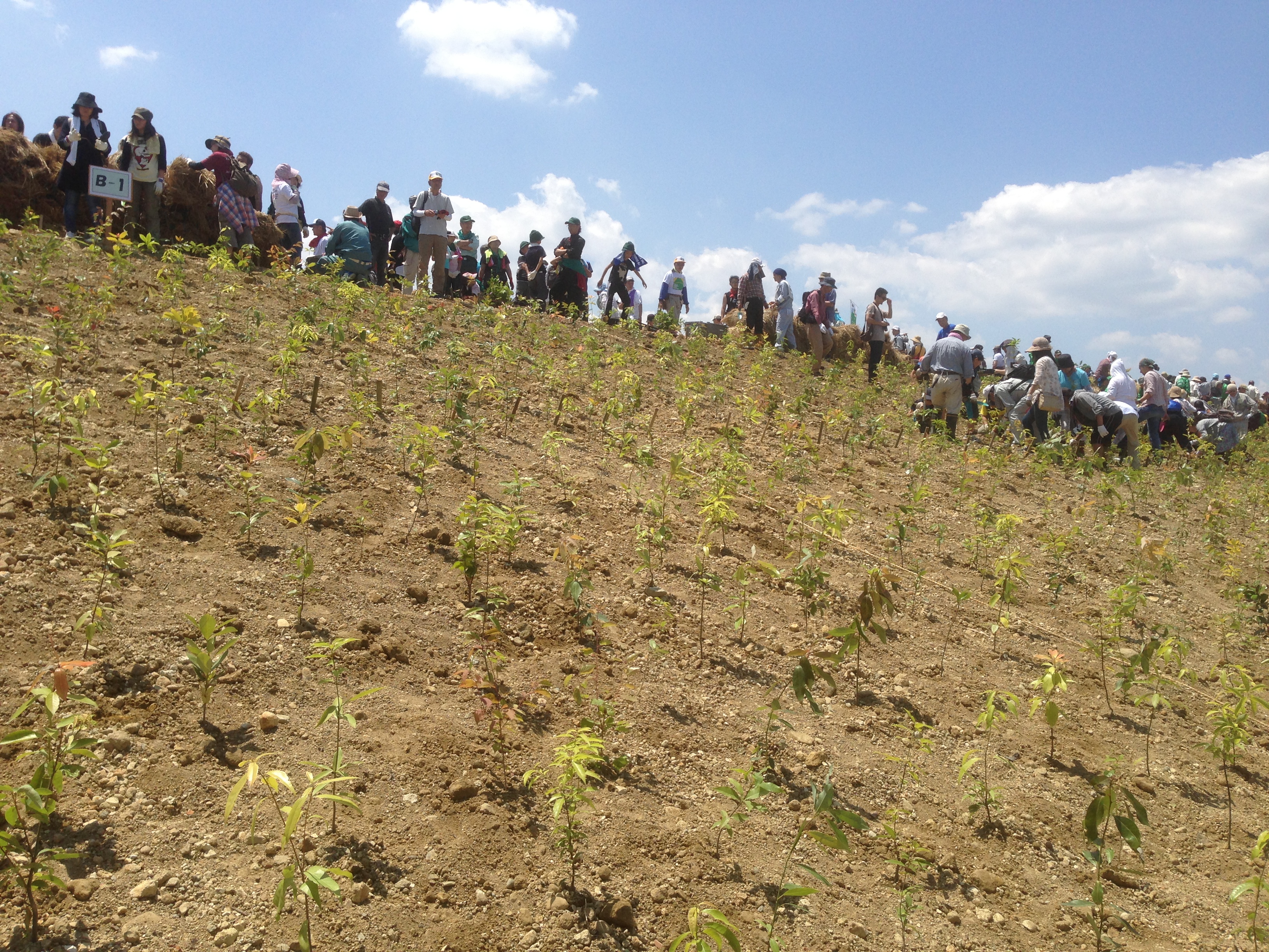 �����ޤ��餤��