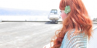 �����ʥ����ԥ��ΥХ顼��ver