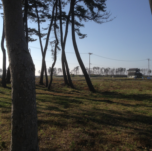 �����Ƥ��� with koo