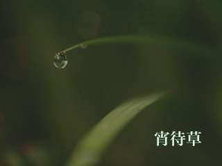 �������PD)