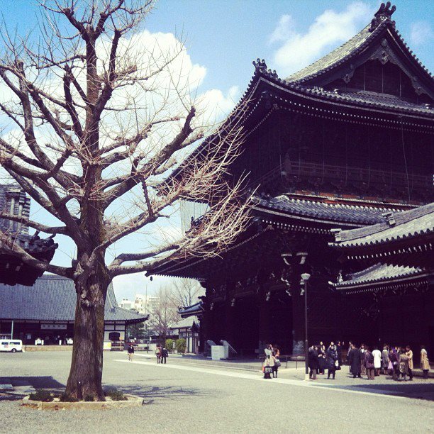 �Ķ���ι�� with koo